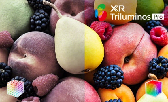 قابلیت XR Triluminos Pro در تلویزیون سونی